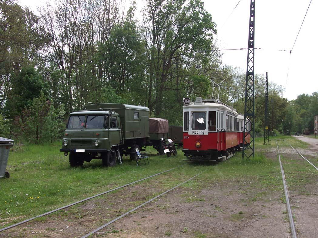 31 Robur