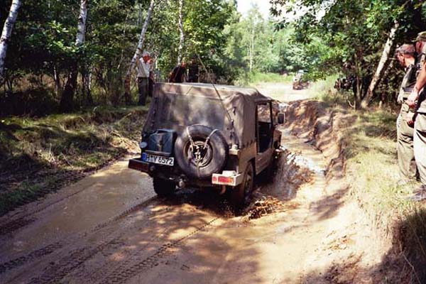 Iltis im Schlammloch